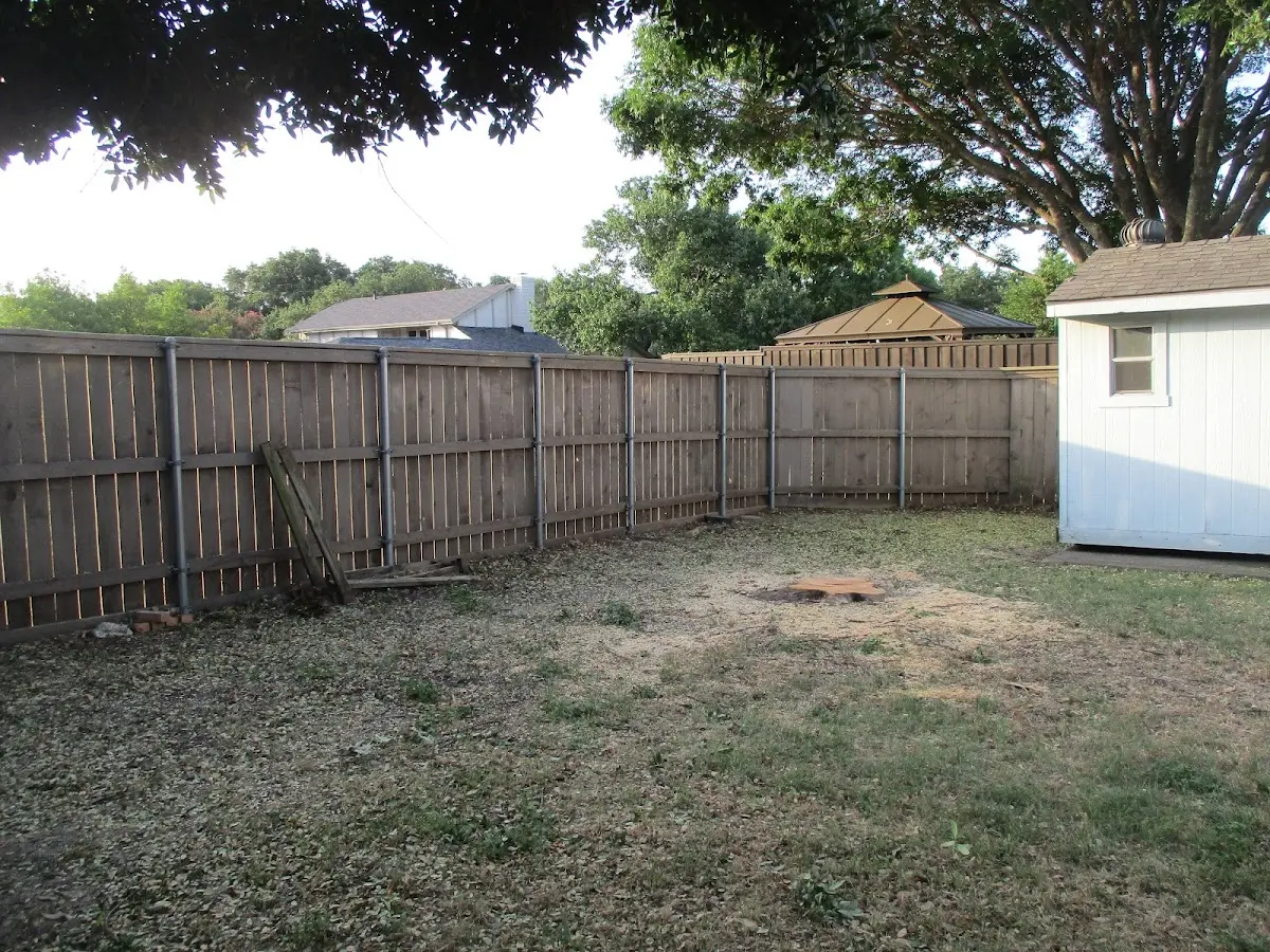 Cleared yard after professional tree removal in Black Oak